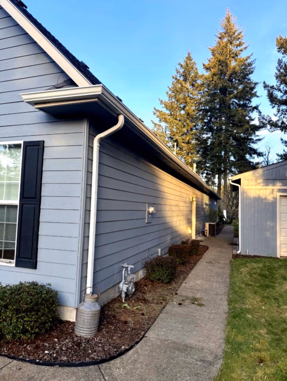 Side view of a blue house with white trim and black shutters next to a concrete pathway and green lawn, with tall pine trees in the background.