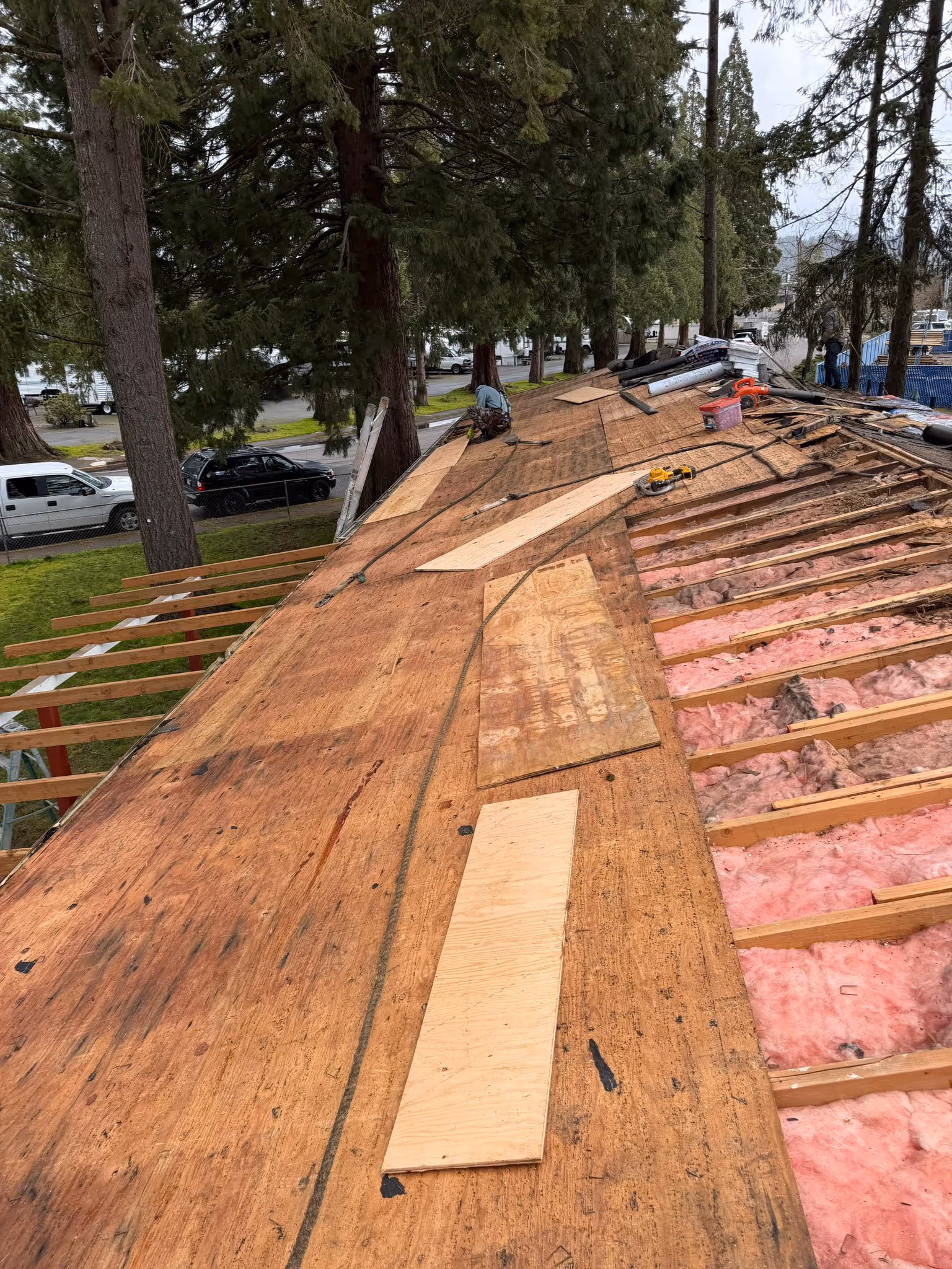 Roof under construction with exposed pink insulation and plywood sheets being installed, surrounded by trees and vehicles.