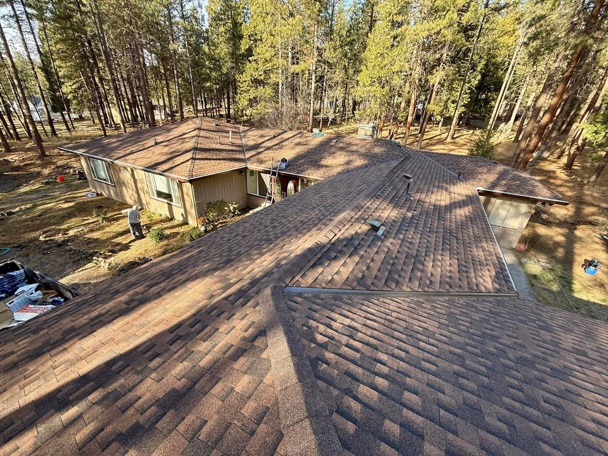Brown shingled roof on a large house surrounded by tall pine trees in a sunny forested area.
