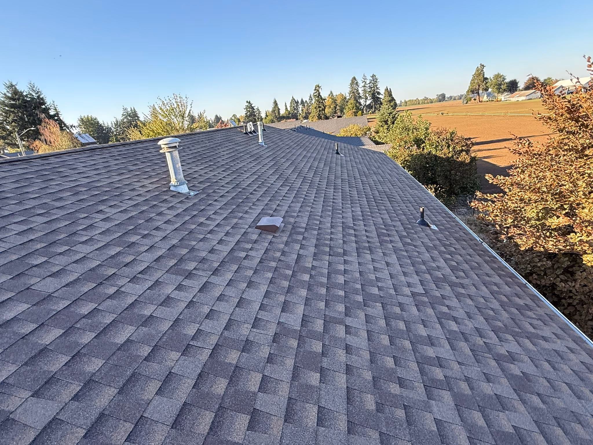 Close-up of a sloped roof covered with gray asphalt shingles with several vent pipes, surrounded by trees and fields under a clear sky.